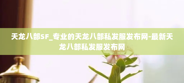 天龙八部SF_专业的天龙八部私发服发布网-最新天龙八部私发服发布网 第3张