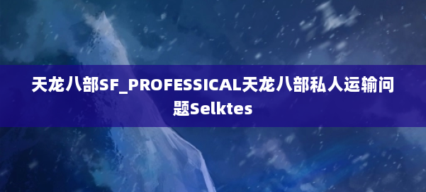 天龙八部SF_PROFESSICAL天龙八部私人运输问题Selktes 第2张