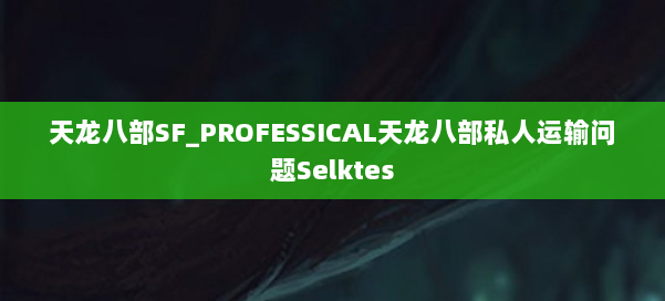 天龙八部SF_PROFESSICAL天龙八部私人运输问题Selktes 第1张