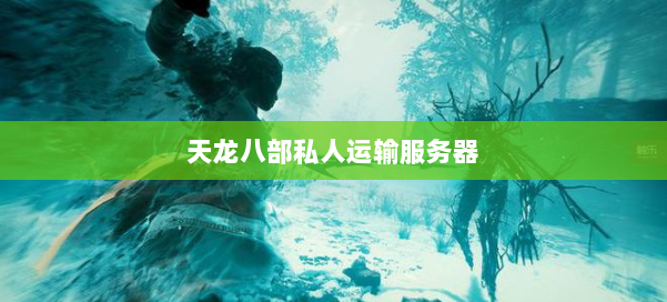 天龙八部私人运输服务器 第1张