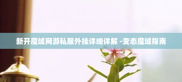 新开魔域网游私服外挂详细详解 -变态魔域指南 第1张