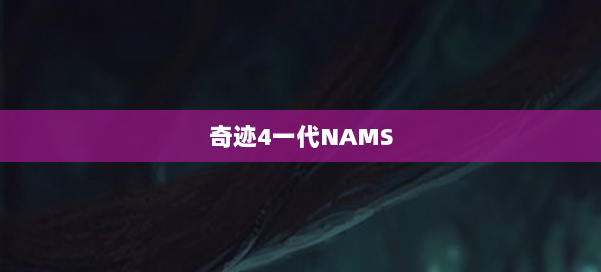 奇迹4一代NAMS 第1张