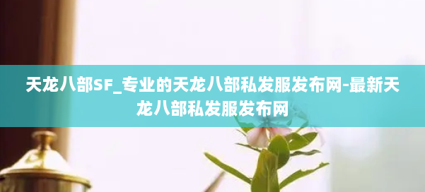 天龙八部SF_专业的天龙八部私发服发布网-最新天龙八部私发服发布网 第1张