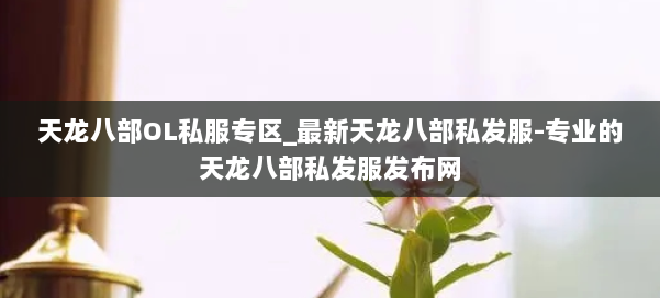 天龙八部OL私服专区_最新天龙八部私发服-专业的天龙八部私发服发布网 第2张