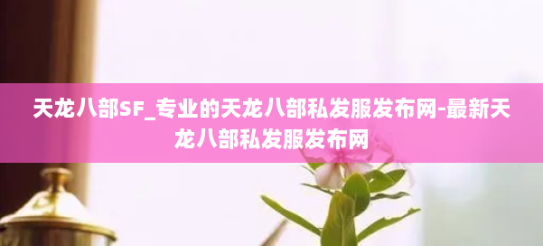 天龙八部SF_专业的天龙八部私发服发布网-最新天龙八部私发服发布网