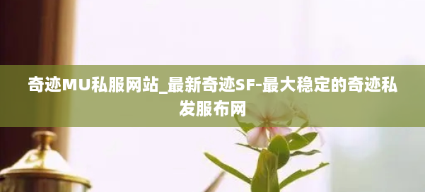 奇迹MU私服网站_最新奇迹SF-最大稳定的奇迹私发服布网 第1张