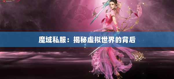 魔域私服：揭秘虚拟世界的背后 第2张
