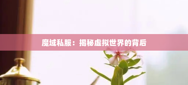 魔域私服：揭秘虚拟世界的背后 第1张