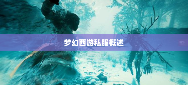 梦幻西游私服概述 第2张