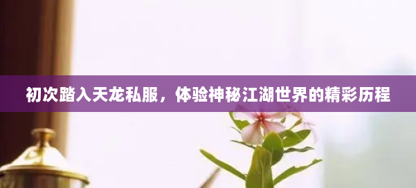 初次踏入天龙私服，体验神秘江湖世界的精彩历程 第3张