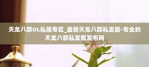 天龙八部OL私服专区_最新天龙八部私发服-专业的天龙八部私发服发布网 第2张