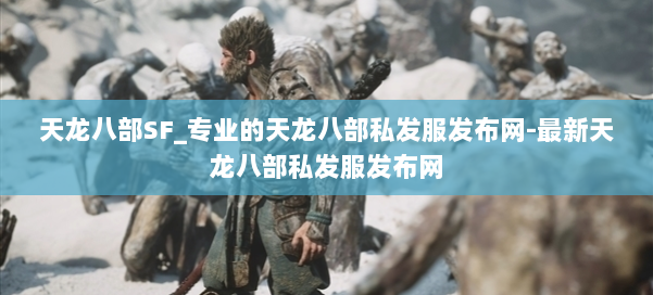 天龙八部SF_专业的天龙八部私发服发布网-最新天龙八部私发服发布网 第1张