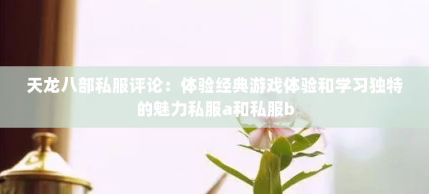天龙八部公益私服评论：体验经典游戏体验和学习独特的魅力私服a和私服b 第1张