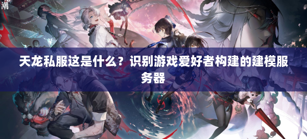 天龙私服这是什么?识别游戏爱好者构建的建模服务器 第3张 天龙私服这是什么?识别游戏爱好者构建的建模服务器 第3张