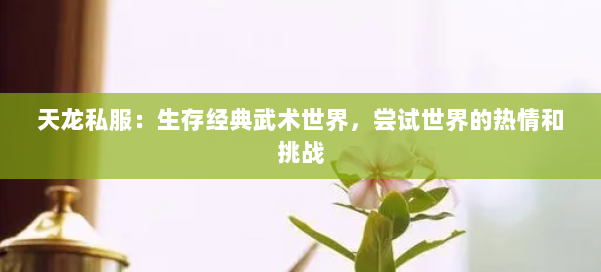 天龙私服：生存经典武术世界，尝试世界的热情和挑战 第1张