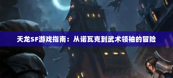 天龙SF游戏指南：从诺瓦克到武术领袖的冒险 第1张
