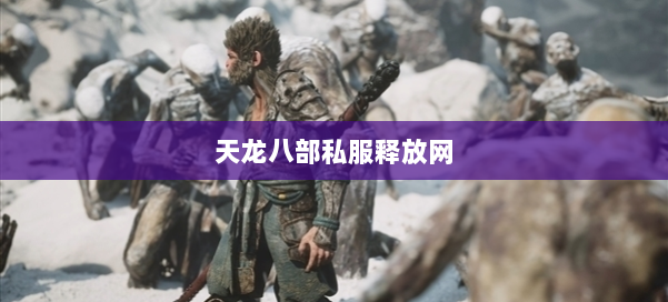 天龙八部公益私服释放网 第3张