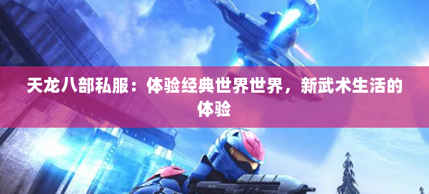 天龙八部公益私服：体验经典世界世界，新武术生活的体验