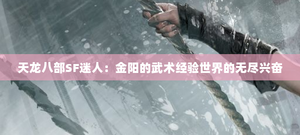 天龙八部SF迷人：金阳的武术经验世界的无尽兴奋 第2张