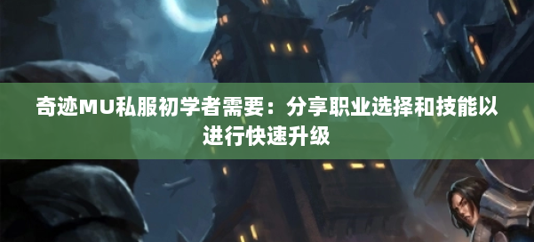 奇迹MU私服初学者需要：分享职业选择和技能以进行快速升级