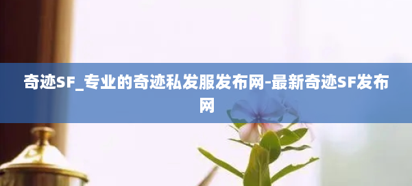 奇迹SF_专业的奇迹私发服发布网-最新奇迹SF发布网 第3张