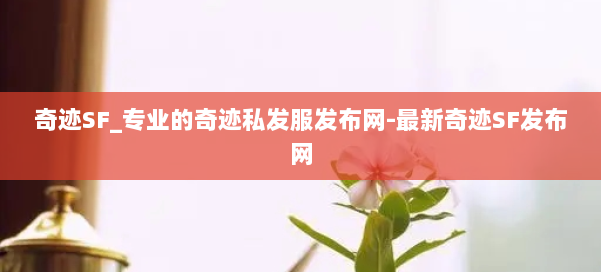 奇迹SF_专业的奇迹私发服发布网-最新奇迹SF发布网 第2张