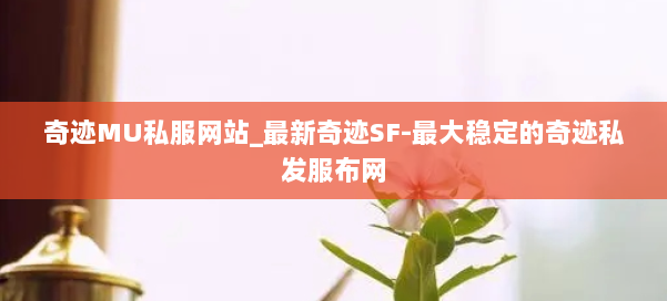 奇迹MU私服网站_最新奇迹SF-最大稳定的奇迹私发服布网 第1张