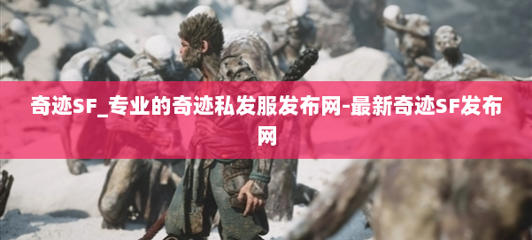 奇迹SF_专业的奇迹私发服发布网-最新奇迹SF发布网 第2张