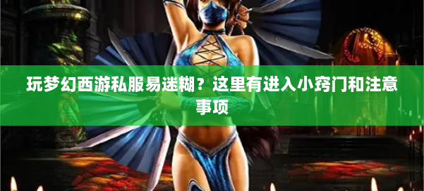 玩梦幻西游私服易迷糊？这里有进入小窍门和注意事项 第1张