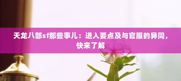 天龙八部sf那些事儿：进入要点及与官服的异同，快来了解 第1张