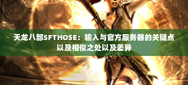 天龙八部SFTHOSE：输入与官方服务器的关键点以及相似之处以及差异 第1张