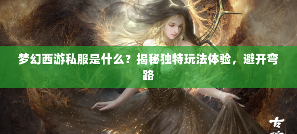 梦幻西游私服是什么？揭秘独特玩法体验，避开弯路 第1张