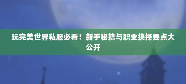 玩完美世界私服必看！新手秘籍与职业抉择要点大公开 第1张