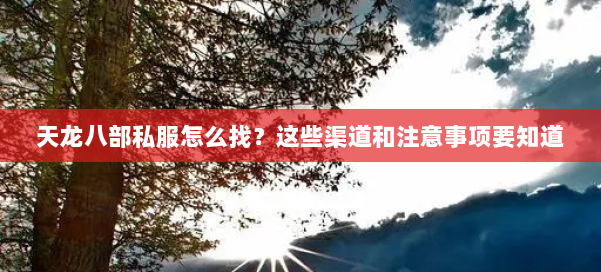 天龙八部公益私服怎么找？这些渠道和注意事项要知道 第1张