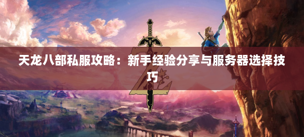 天龙八部私服攻略：新手经验分享与服务器选择技巧 第1张