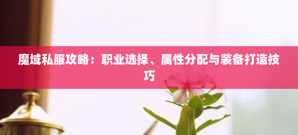 魔域私服攻略：职业选择、属性分配与装备打造技巧 第1张