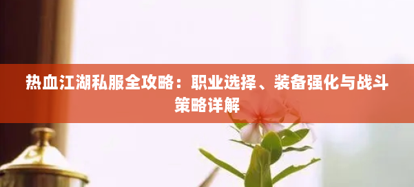 热血江湖私服全攻略：职业选择、装备强化与战斗策略详解 第1张