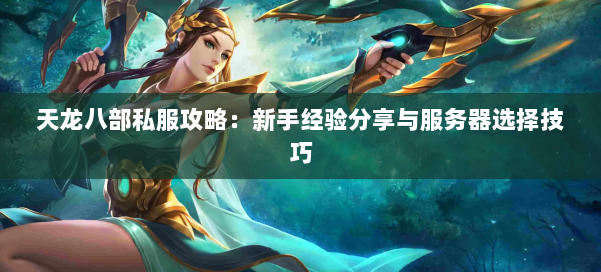 天龙八部私服攻略：新手经验分享与服务器选择技巧