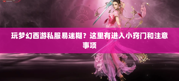 玩梦幻西游私服易迷糊？这里有进入小窍门和注意事项 第1张