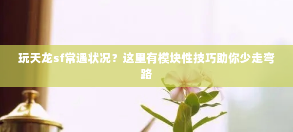 玩天龙sf常遇状况?这里有模块性技巧助你少走弯路 第1张 玩天龙sf常遇状况?这里有模块性技巧助你少走弯路 第1张