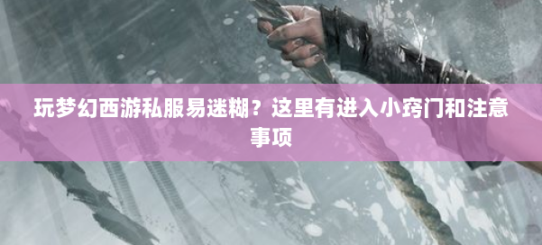 玩梦幻西游私服易迷糊?这里有进入小窍门和注意事项