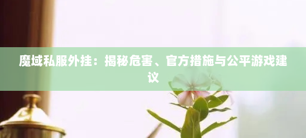 魔域私服外挂：揭秘危害、官方措施与公平游戏建议 第1张