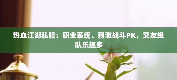 热血江湖私服：职业系统、刺激战斗PK，交友组队乐趣多 第1张