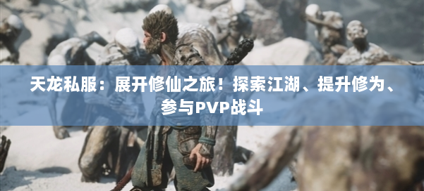 天龙私服：展开修仙之旅！探索江湖、提升修为、参与PVP战斗 第1张