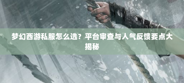 梦幻西游私服怎么选？平台审查与人气反馈要点大揭秘 第1张