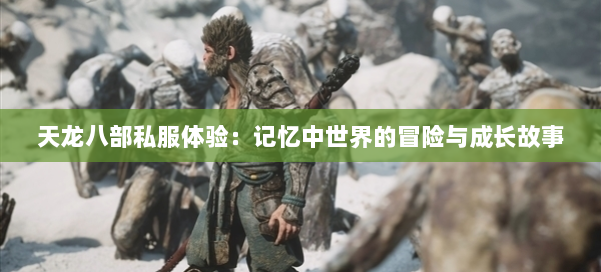 天龙八部公益私服体验：记忆中世界的冒险与成长故事