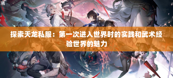 探索天龙私服：第一次进入世界时的实践和武术经验世界的魅力 第2张