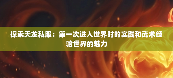 探索天龙私服：第一次进入世界时的实践和武术经验世界的魅力 第3张