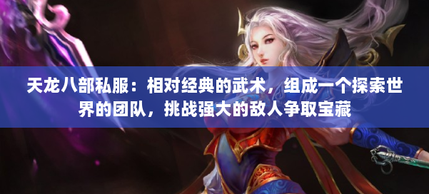 天龙八部公益私服：相对经典的武术，组成一个探索世界的团队，挑战强大的敌人争取宝藏