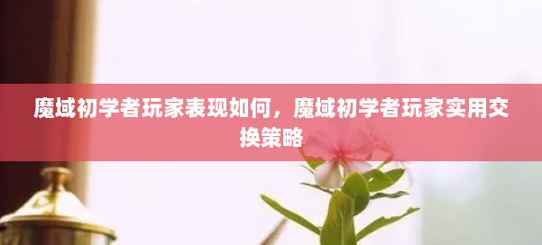 魔域初学者玩家表现如何，魔域初学者玩家实用交换策略 第1张